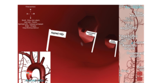 Multimedia Application Virtual Reality with 3D